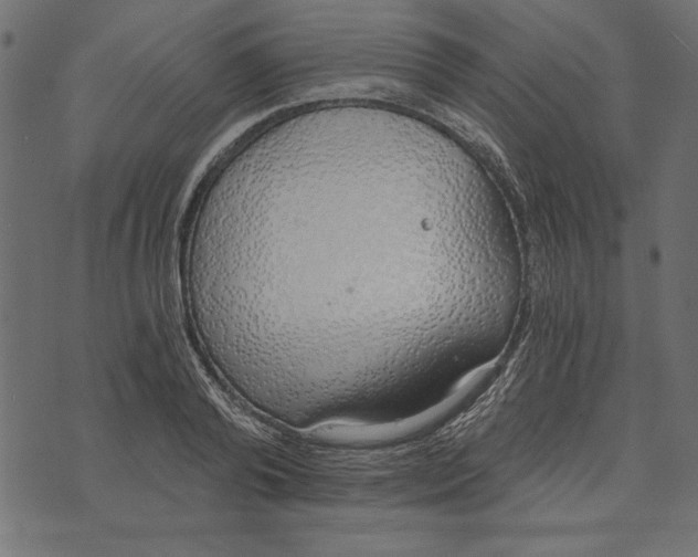 X0000072930792200608181315