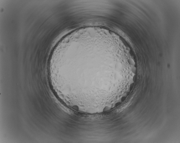 X0000072930803200608181314