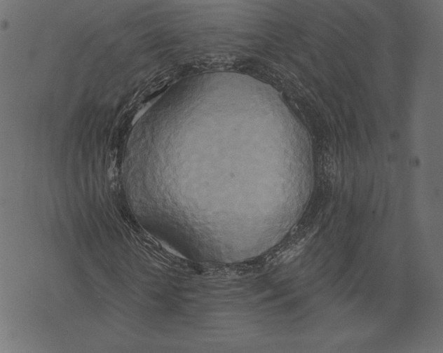X0000072930818200608181313