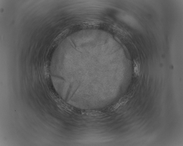 X0000072930819200608181313