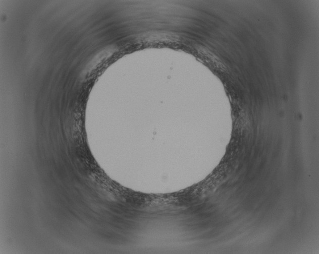 X0000072930824200608181314