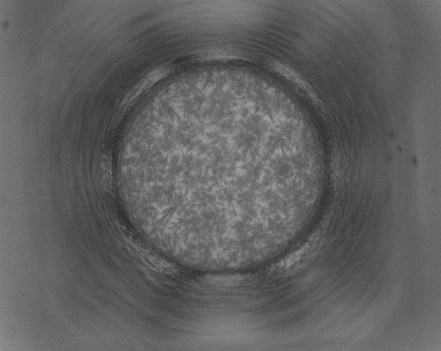 X0000072930825200608181314