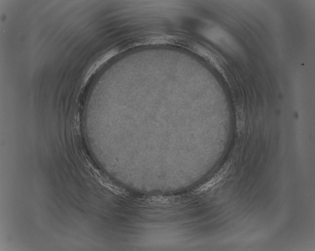 X0000072930827200608181314