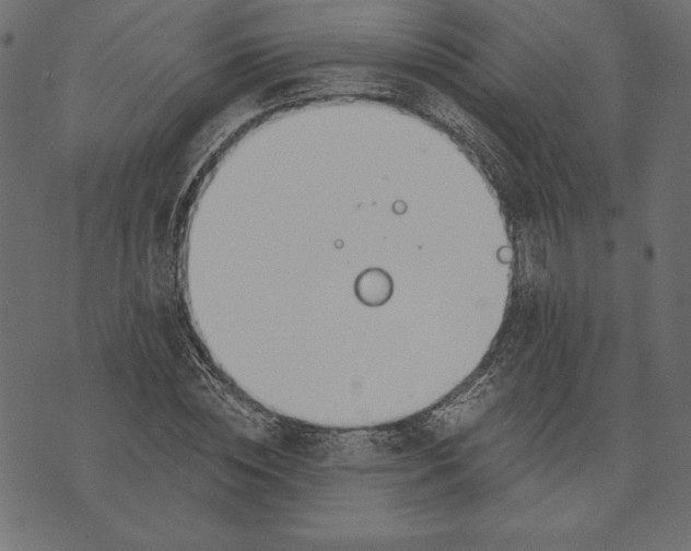 X0000072930828200608181314