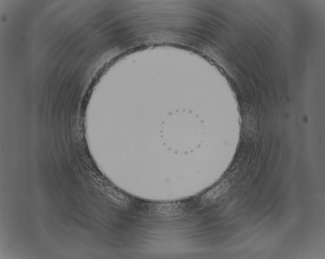 X0000072930832200608181314