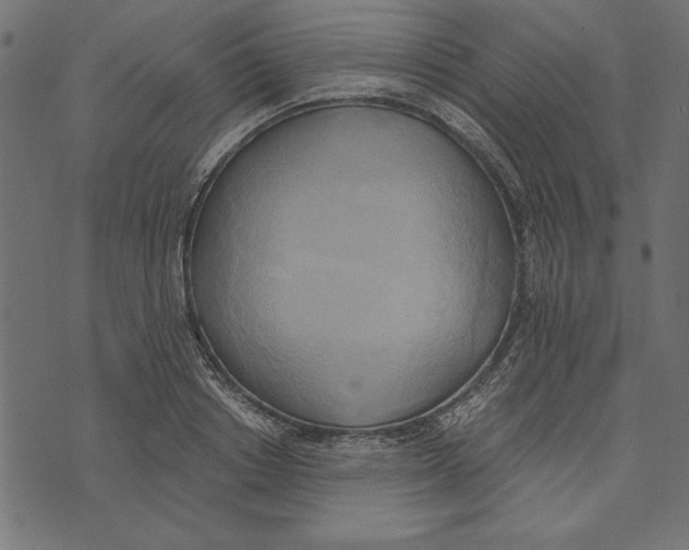 X0000072930842200608181314