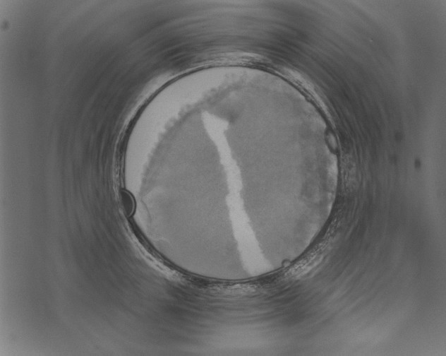X0000072930851200608181314