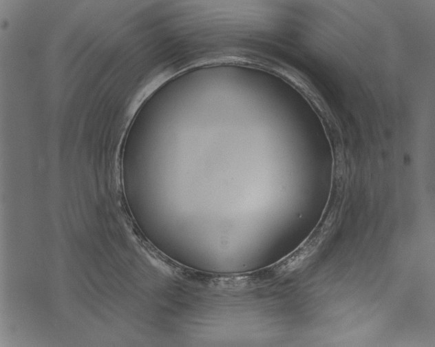 X0000072930858200608181314