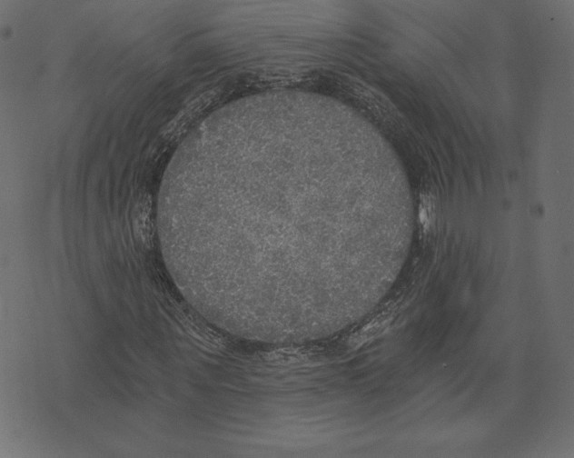 X0000072930867200608181313