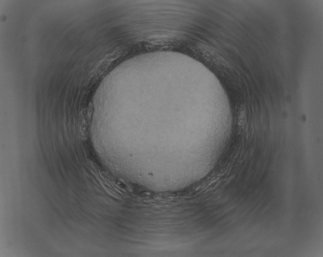 X0000072930868200608181313