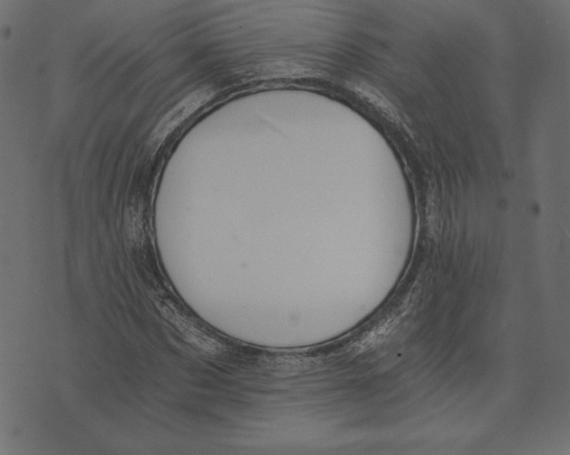 X0000072930873200608181313