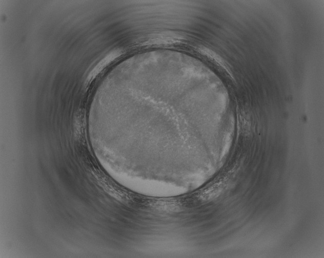 X0000072930874200608181313