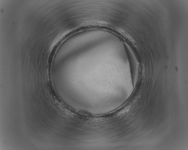 X0000072930877200608181313