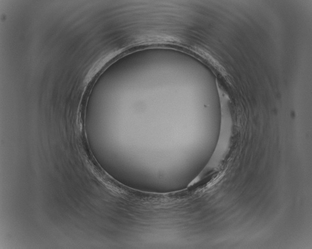 X0000072930885200608181313