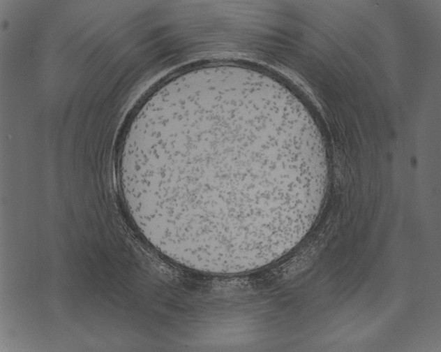 X0000072930887200608181313