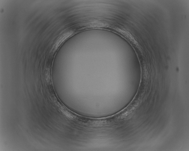 X0000072930889200608181313