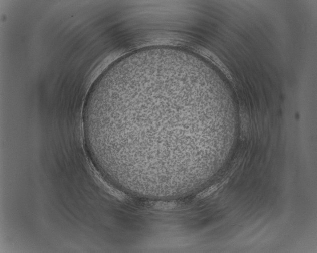X0000072930890200608181313