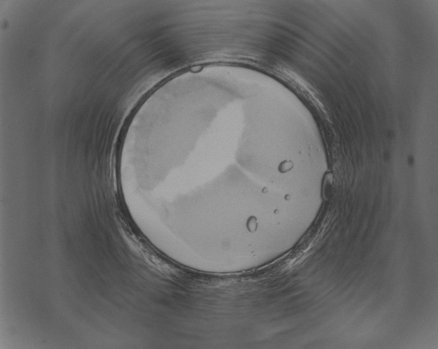 X0000072930892200608181313