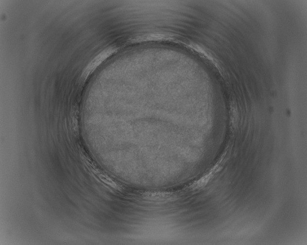 X0000072930921200608181312