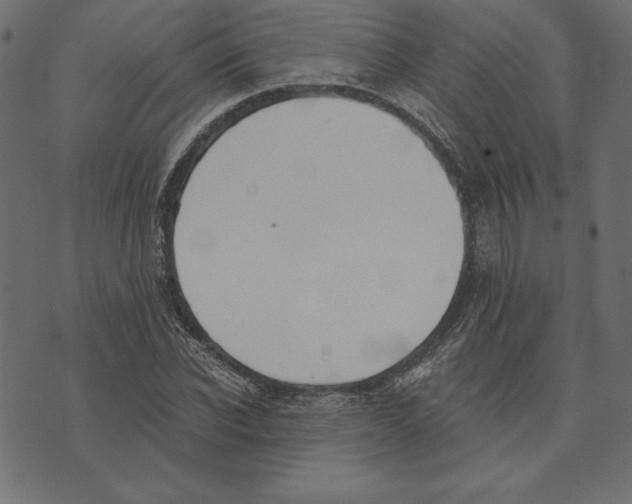 X0000072930926200608181312