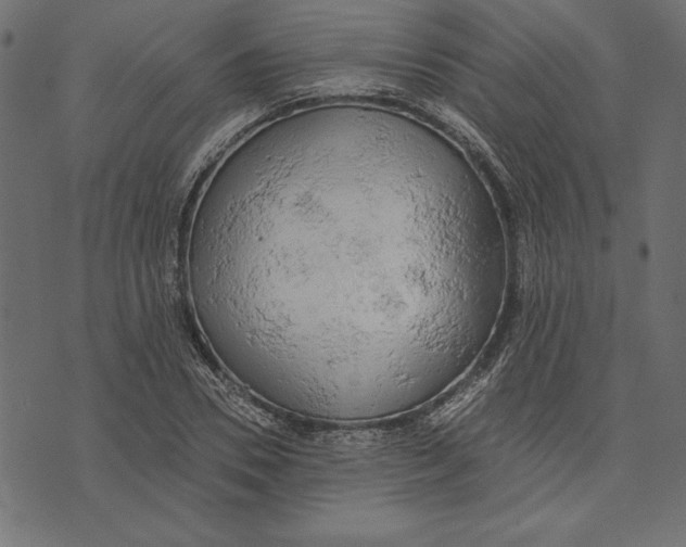 X0000072930930200608181312