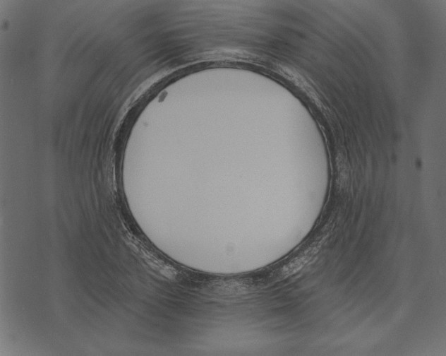 X0000072930931200608181312