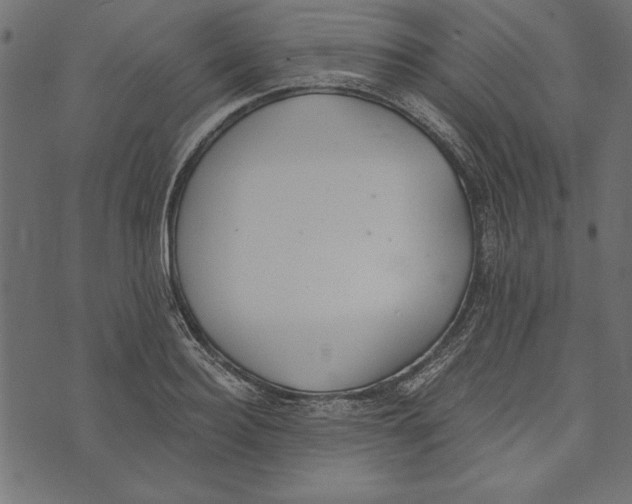 X0000072930940200608181312