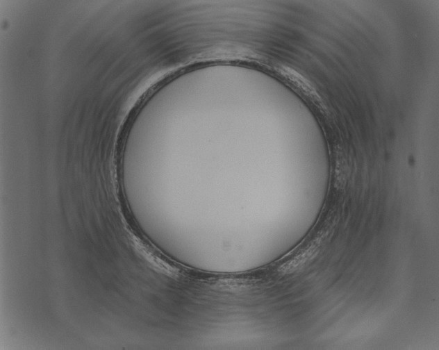 X0000072930942200608181312