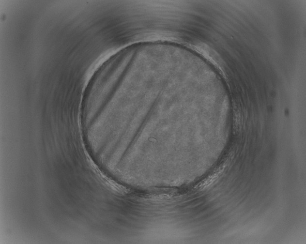 X0000072930943200608181312