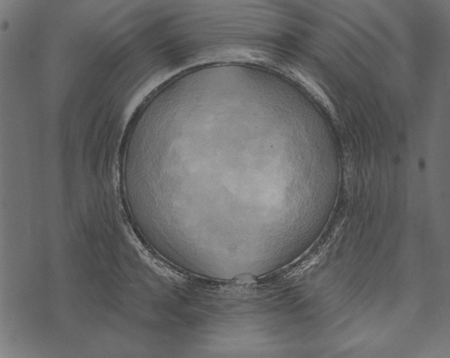 X0000072930944200608181312