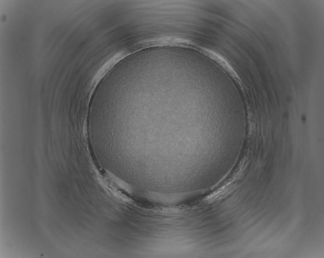 X0000072930946200608181312