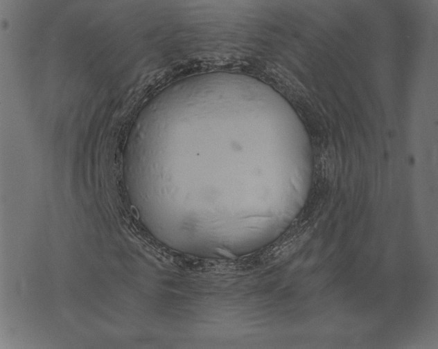 X0000072930961200608181312