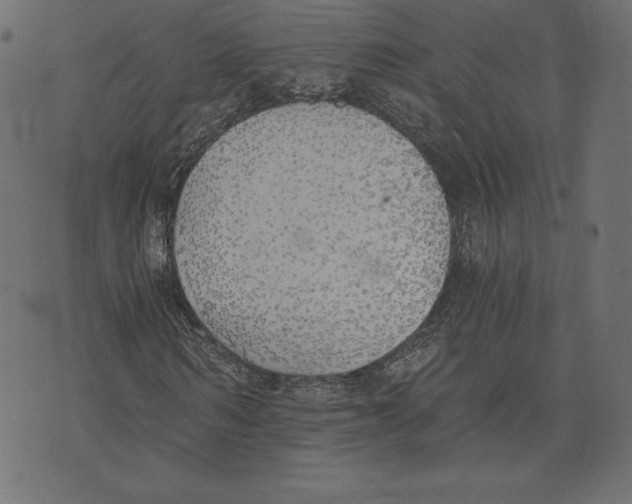 X0000072930962200608181312
