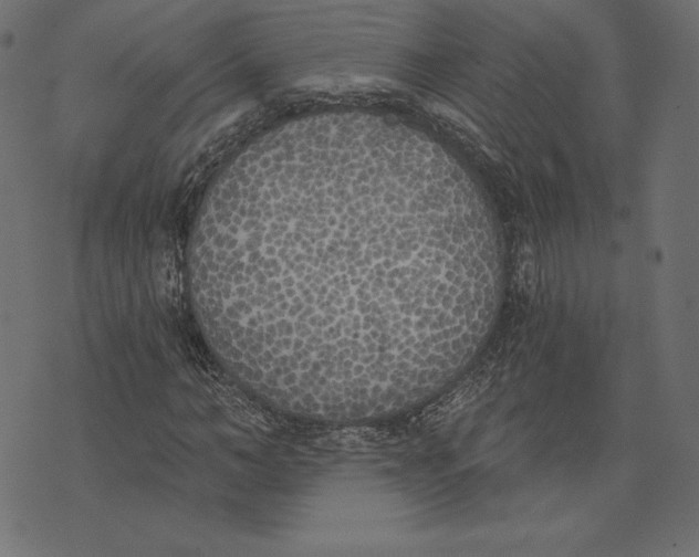 X0000072930966200608181312