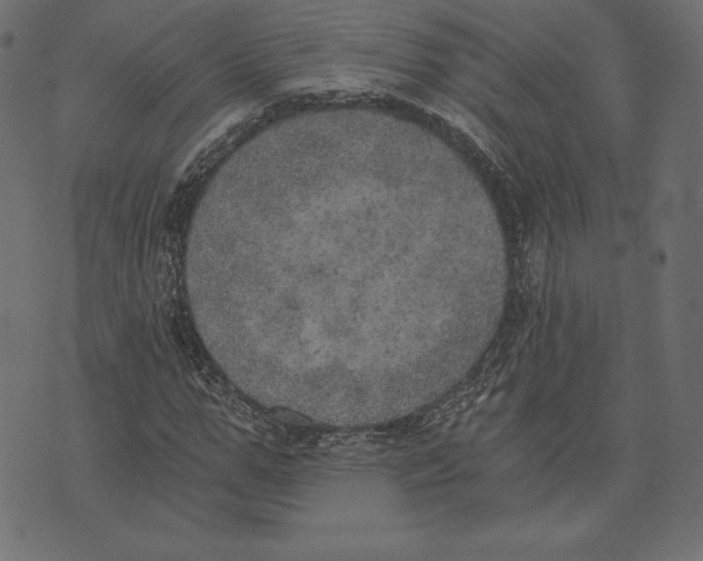X0000072930967200608181312