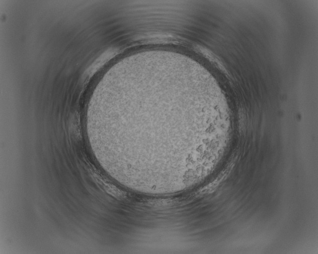 X0000072930970200608181312
