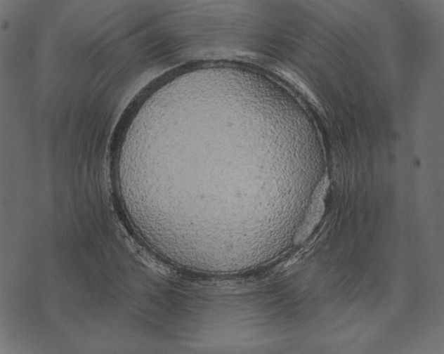 X0000072930976200608181312