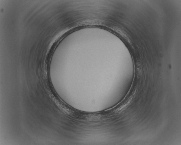 X0000072930981200608181312