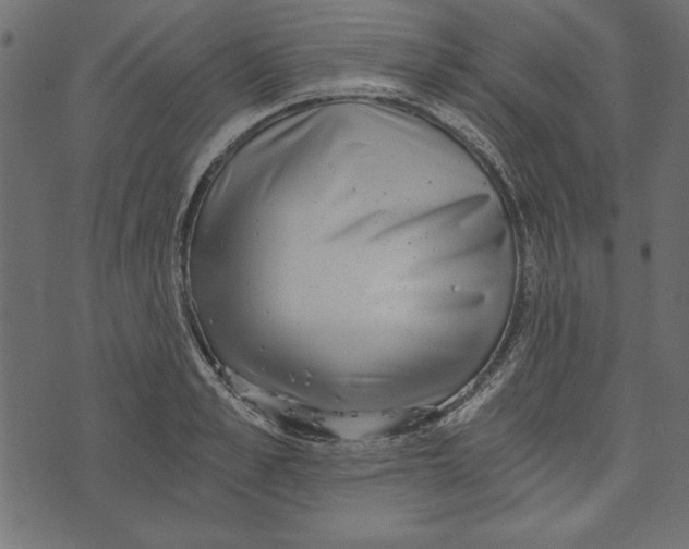 X0000072930989200608181311