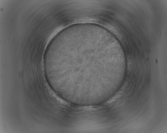 X0000072930990200608181311