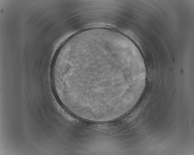 X0000072930995200608181311