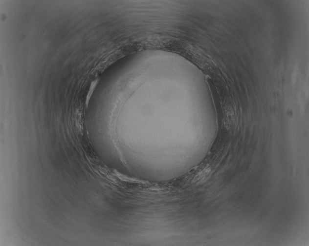 X0000072931010200608181310