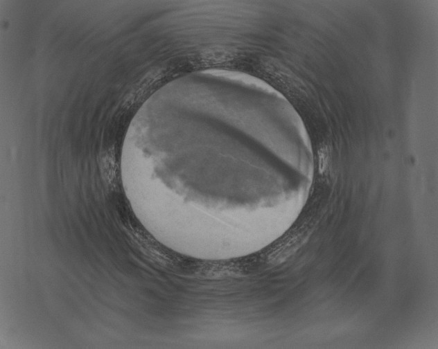 X0000072931011200608181310