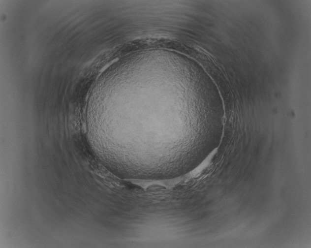 X0000072931014200608181310