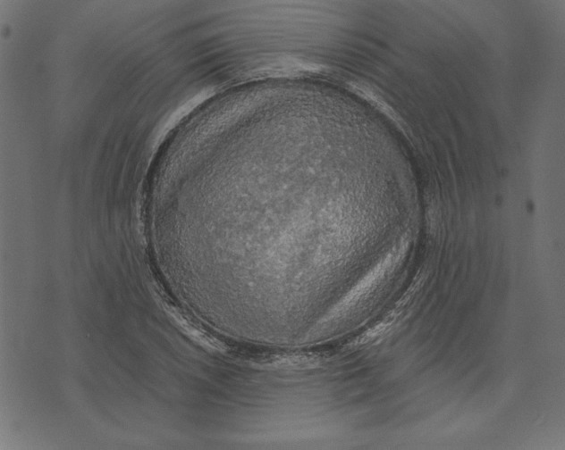 X0000072931026200608181311