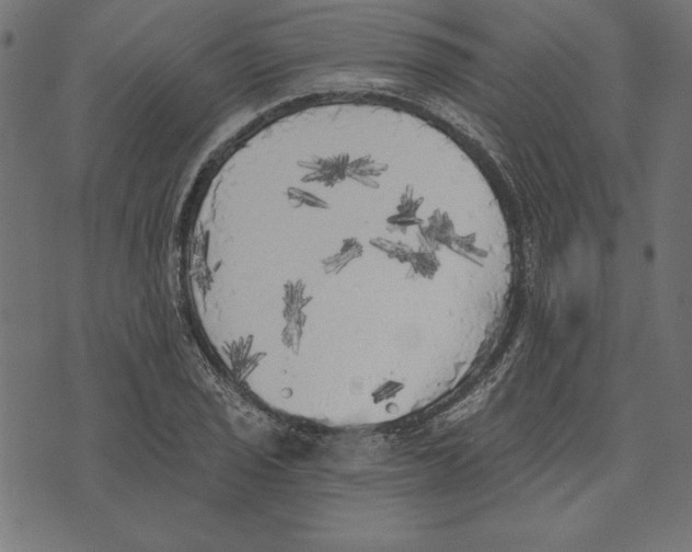X0000072931029200608181311
