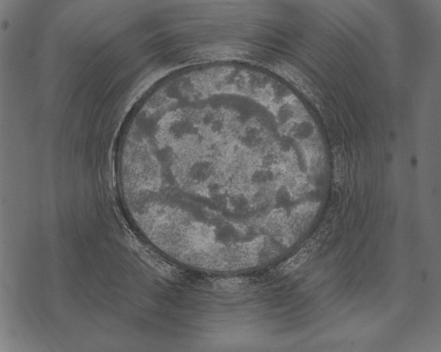 X0000072931031200608181311