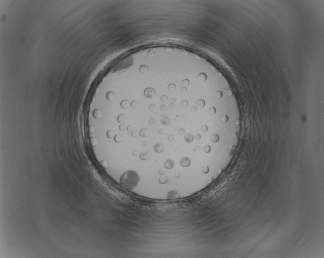 X0000072931032200608181311