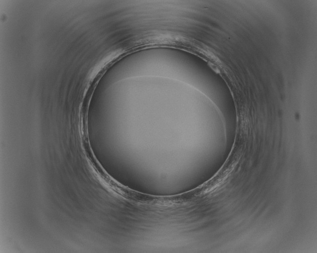 X0000072931034200608181311