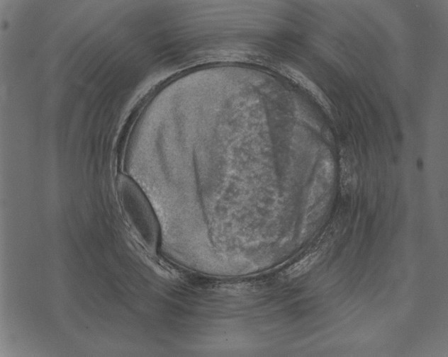 X0000072931035200608181311